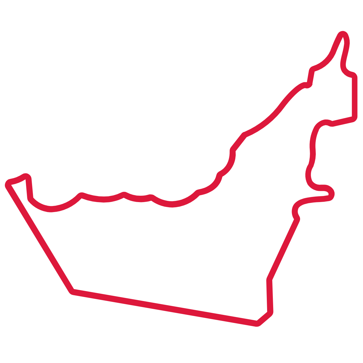 Dubai flag